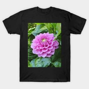 Light Pink Dahlia T-Shirt